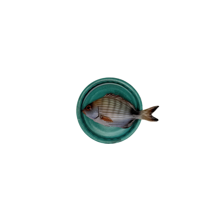 Sarago piccolo op een handgemaakt turquoise bordje, 10.5cm