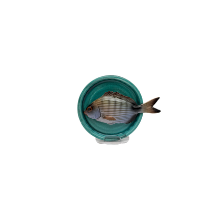 Sarago piccolo op een handgemaakt turquoise bordje, 10.5cm