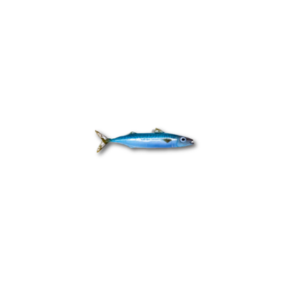 Makreel/Sgombro, 28 cm