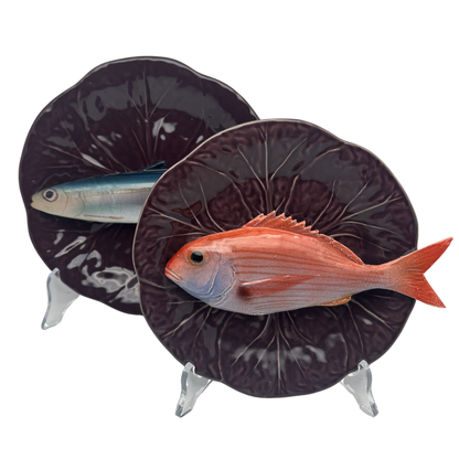 Pagello op een aubergine bladvormig bordje, 18cm rond