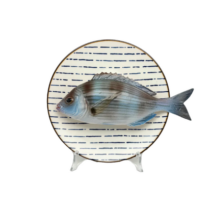 Tanuta op blauw gestreept bord, 22cm rond