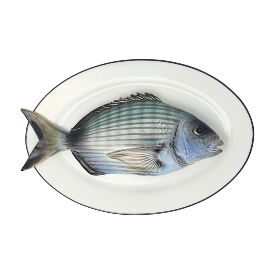 Sarago grande op ovaal wit bord met donker grijze rand, 35x24cm