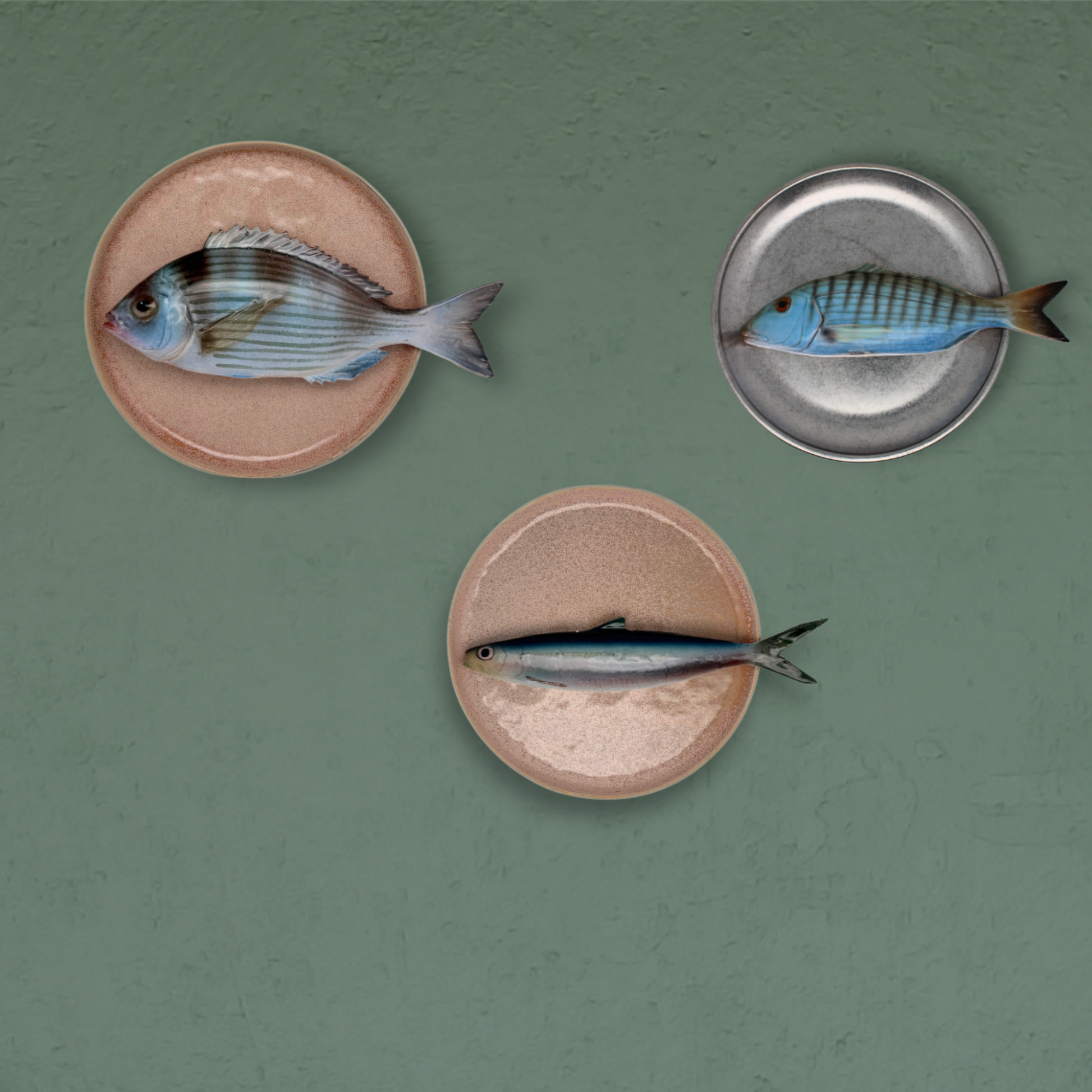 Visborden aan de wand 