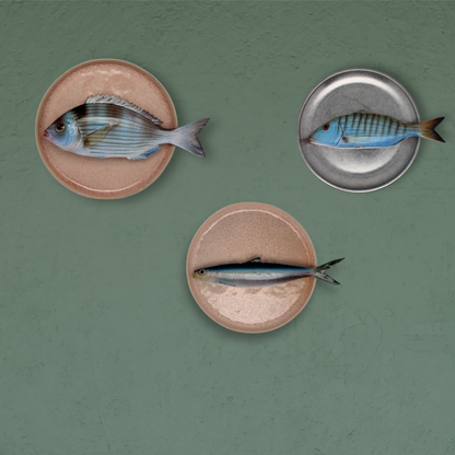 Visborden aan de wand 