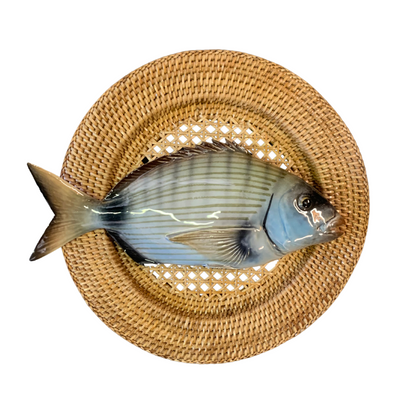 Sarago grande op Rotan gevlochten bord, 30m rond