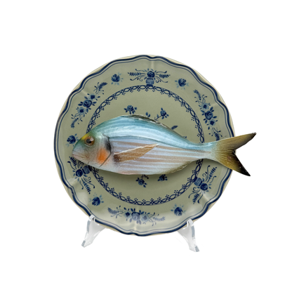 Orata op olijfgroen bord met blauwe decoratie 21 cm