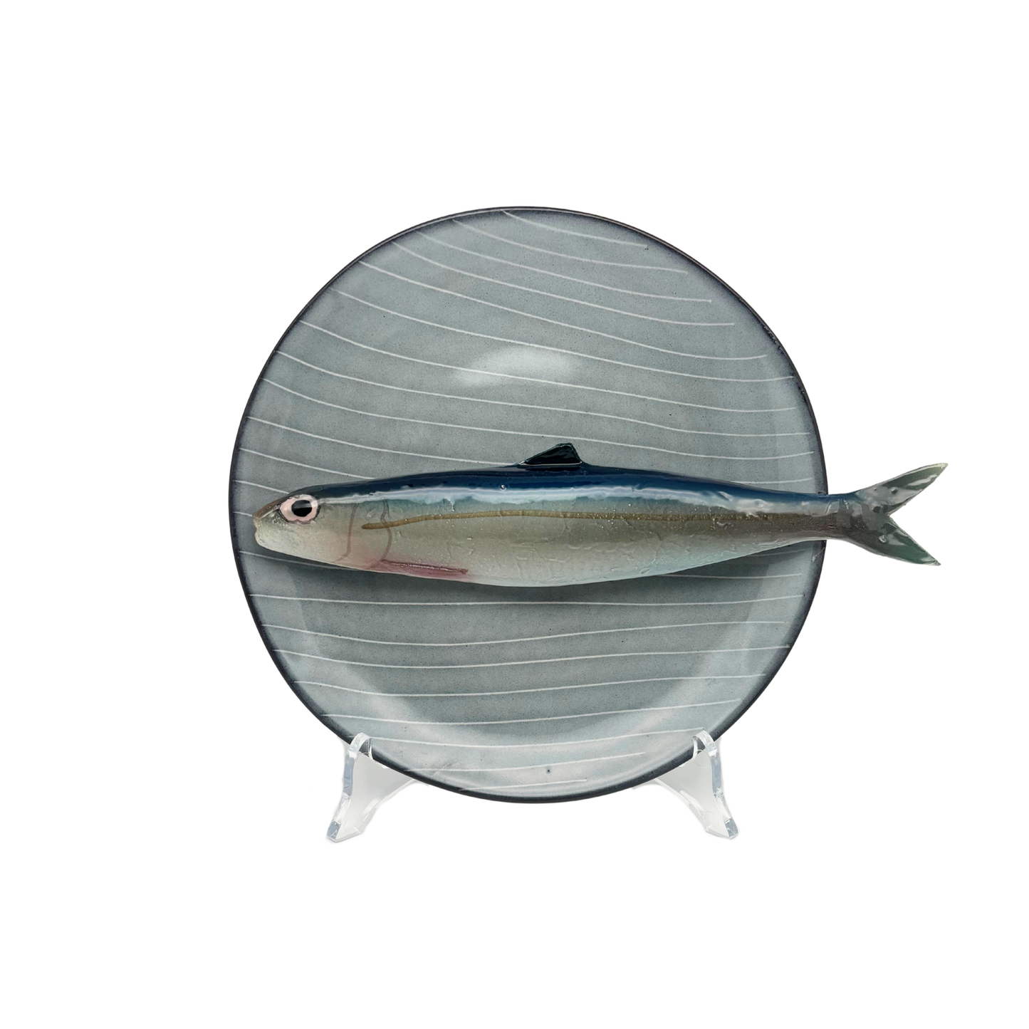 Alaccia/Haring op grijs/blauw krijtstreep bord, 20 cm