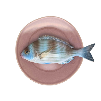 Tanuta op lila/aubergine kleur bord, 22 cm rond