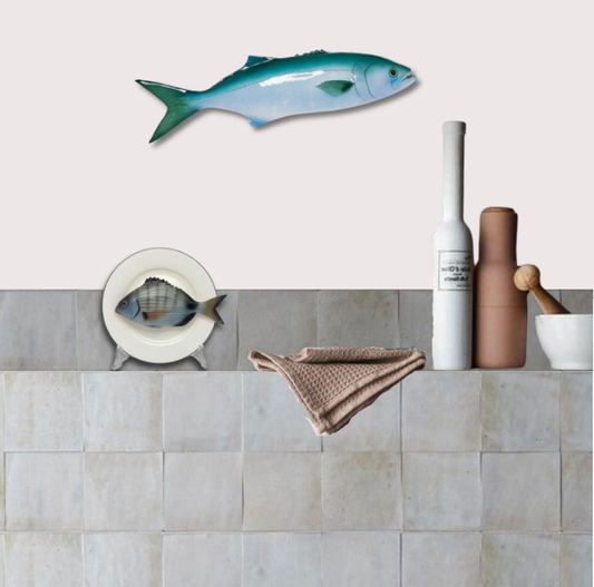 Sarago medio op wit bord met zwarte rand, 16,5cm rond