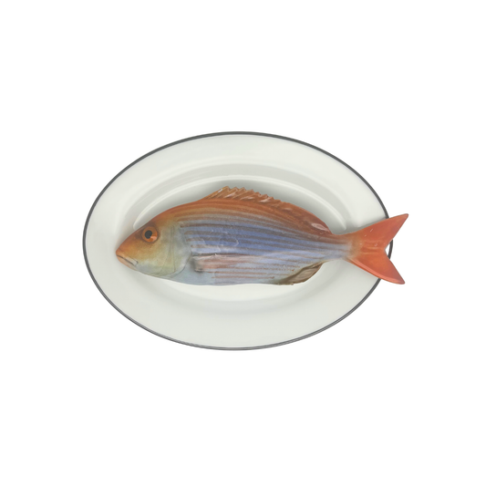 Dentice op ovaal wit bord met donker grijze rand, 25x17cm