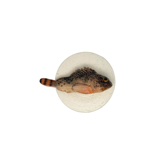 Scorfano Marrone - Decoratief keramiek potje met deksel, 11,5cm rond, handgemaakt