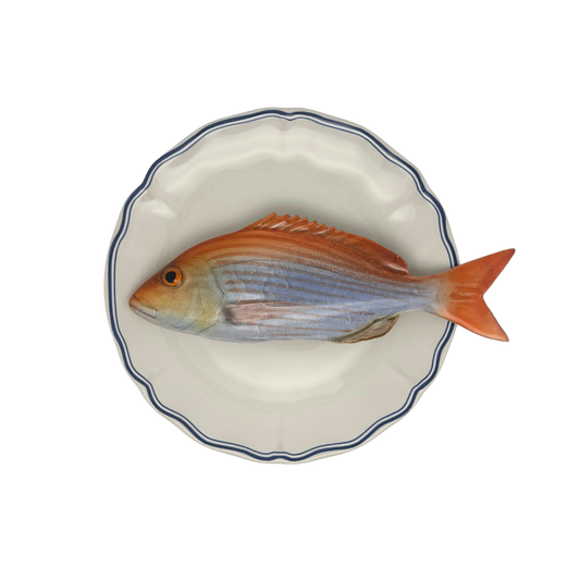Dentice op wit bord met blauw geschulpte rand, 21 cm rond
