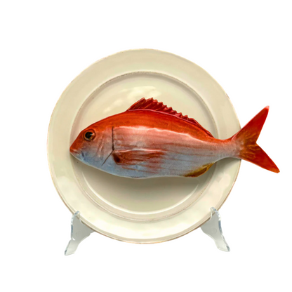 Pagro op wit/crème kleur bord met rand, 24 cm rond