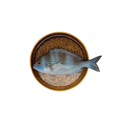 Tanuta op donker bruin bord, 22 cm rond