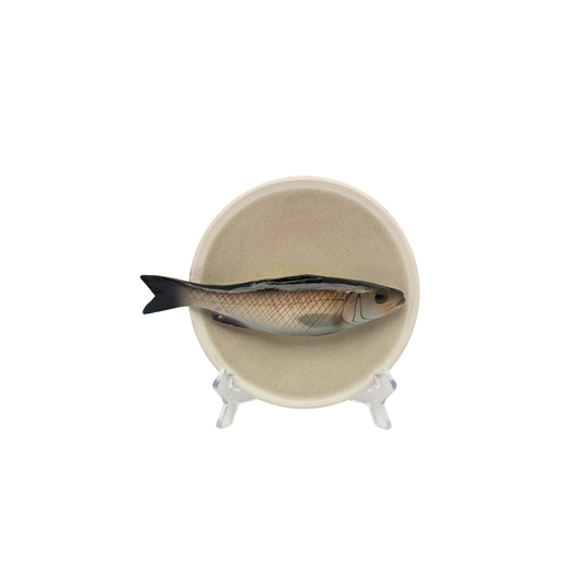 Spigola medio op zandkleurig bord met lichte rand, 15 cm