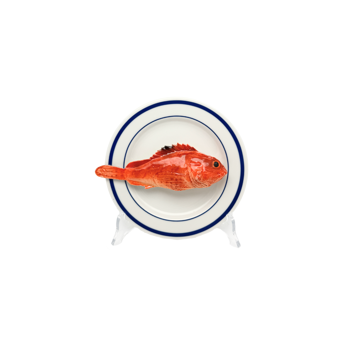Scorfano op wit bord met dubbele blauwe rand, bord 15 cm