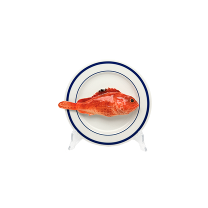 Scorfano op wit bord met dubbele blauwe rand, bord 15 cm