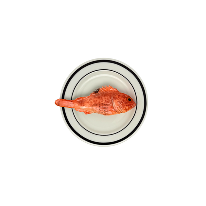 Scorfano op wit bord met dubbele zwarte rand, bord 15 cm