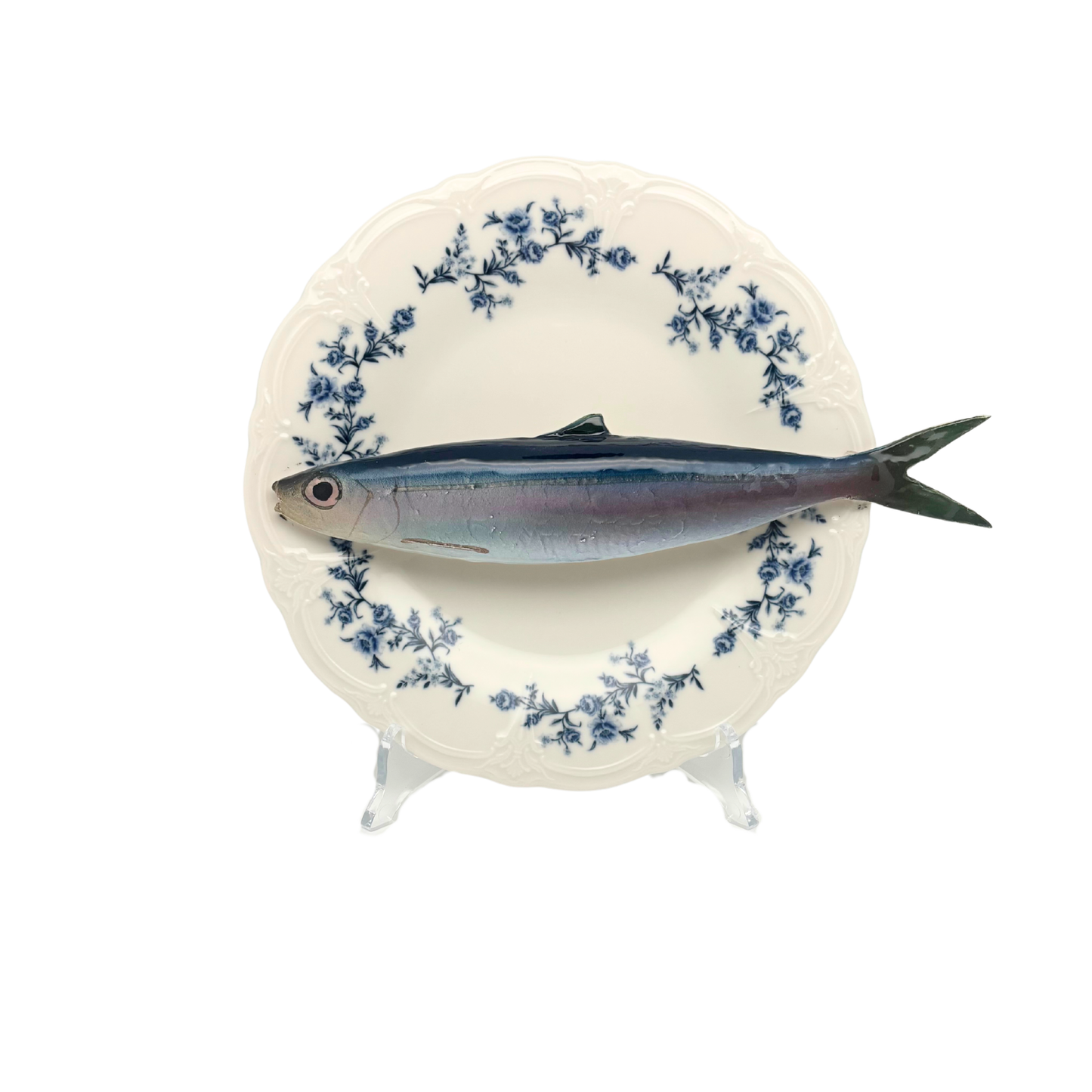 Alaccia/Haring op wit met blauwe details op decoratief bord, 21cm