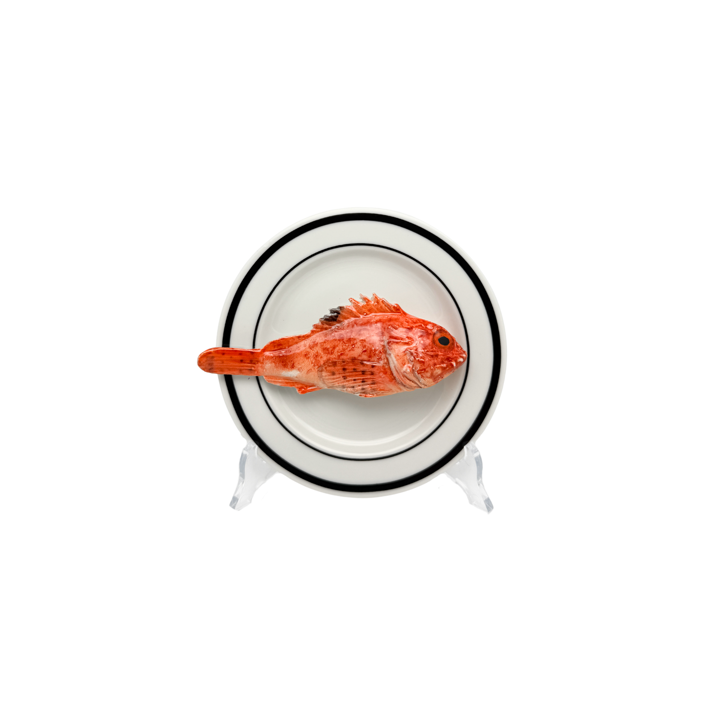 Scorfano op wit bord met dubbele zwarte rand, bord 15 cm