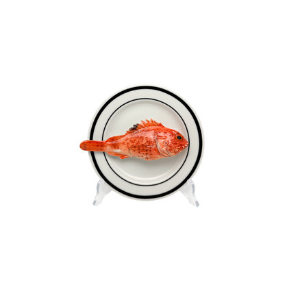 Scorfano op wit bord met dubbele zwarte rand, bord 15 cm