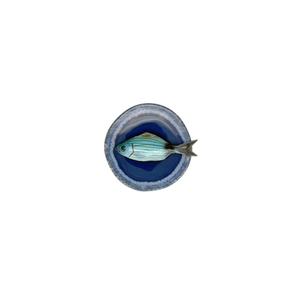 Occhiata piccolo op oceaanblauw bord met lichte rand, 12 cm doorsnee