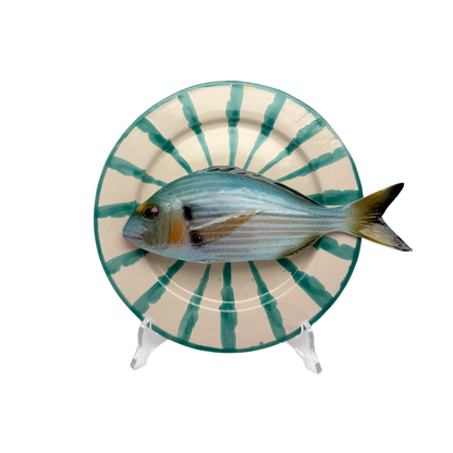 Orata – Turquesa Granada Series  Limited Edition