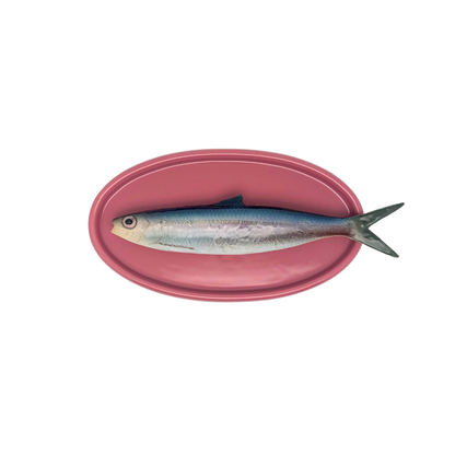 Alaccia/Haring op een ovaal roze bord, 22 x 11 cm