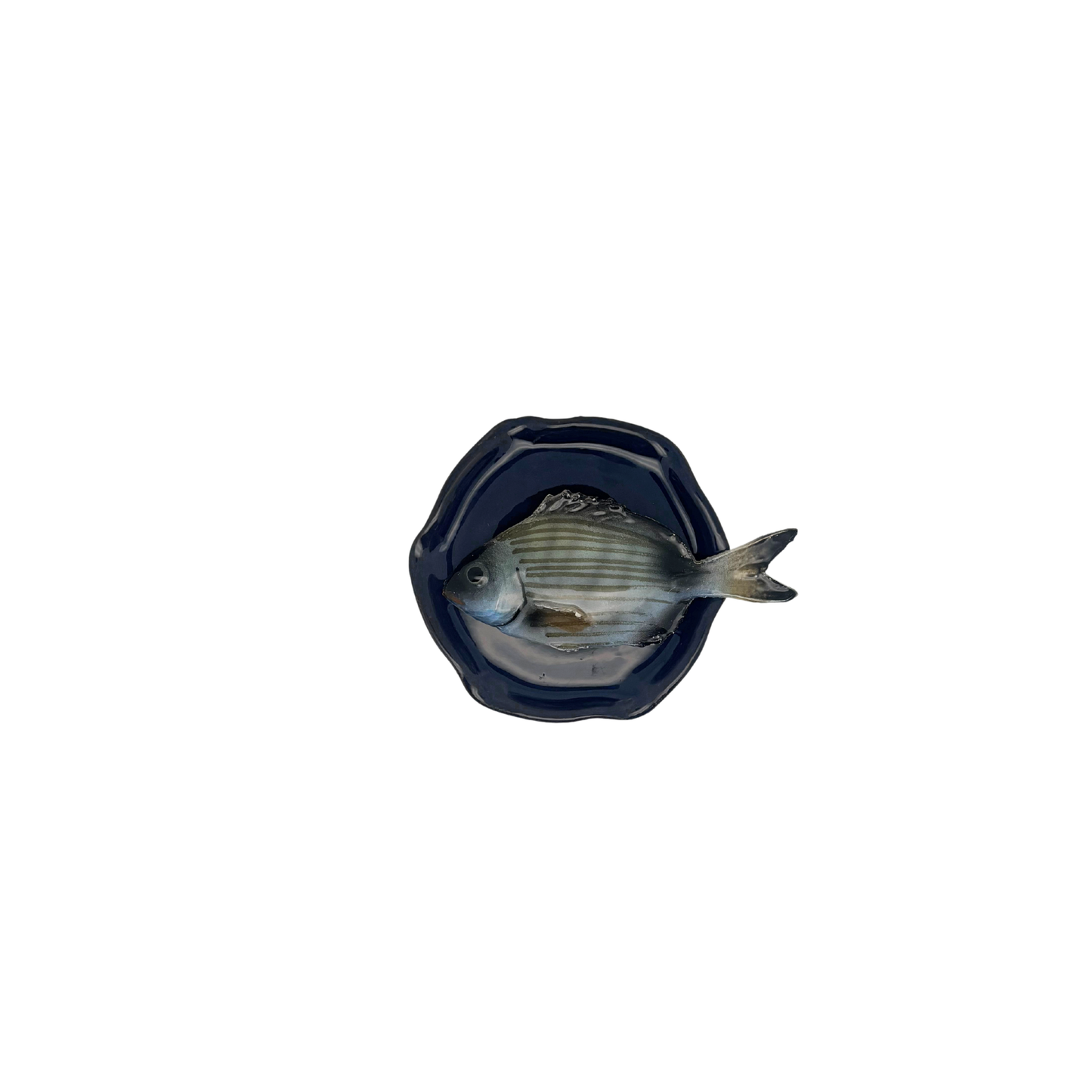 Sarago piccolo op handmade donkerblauw bordje, 11 cm