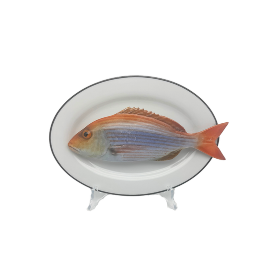 Dentice op ovaal wit bord met donker grijze rand, 25x17cm