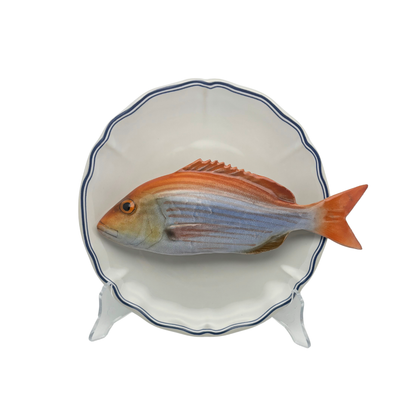 Dentice op wit bord met blauw geschulpte rand, 21 cm rond