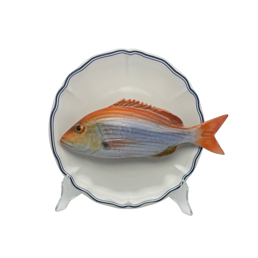 Dentice op wit bord met blauw geschulpte rand, 21 cm rond