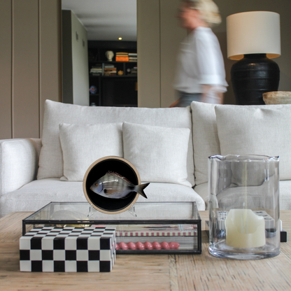 Sarago medio op mat zwart bord met lichte rand,  15cm rond