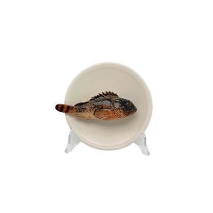 Scorfano Marrone op een beige bordje met lichte rand, 15 cm