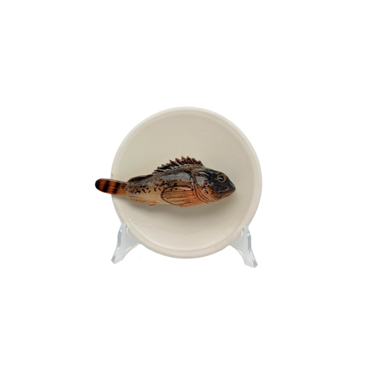 Scorfano Marrone op een beige bordje met lichte rand, 15 cm