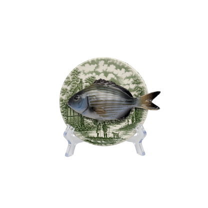 Sarago piccolo op vintage groen bordje, 12 cm rond