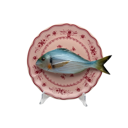 Orata op poederroze bord met rode decoratie, 21 cm