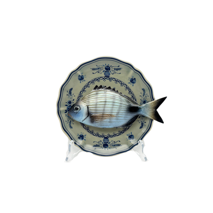 Sarago medio op olijfgroen bord met blauwe decoratie 17cm