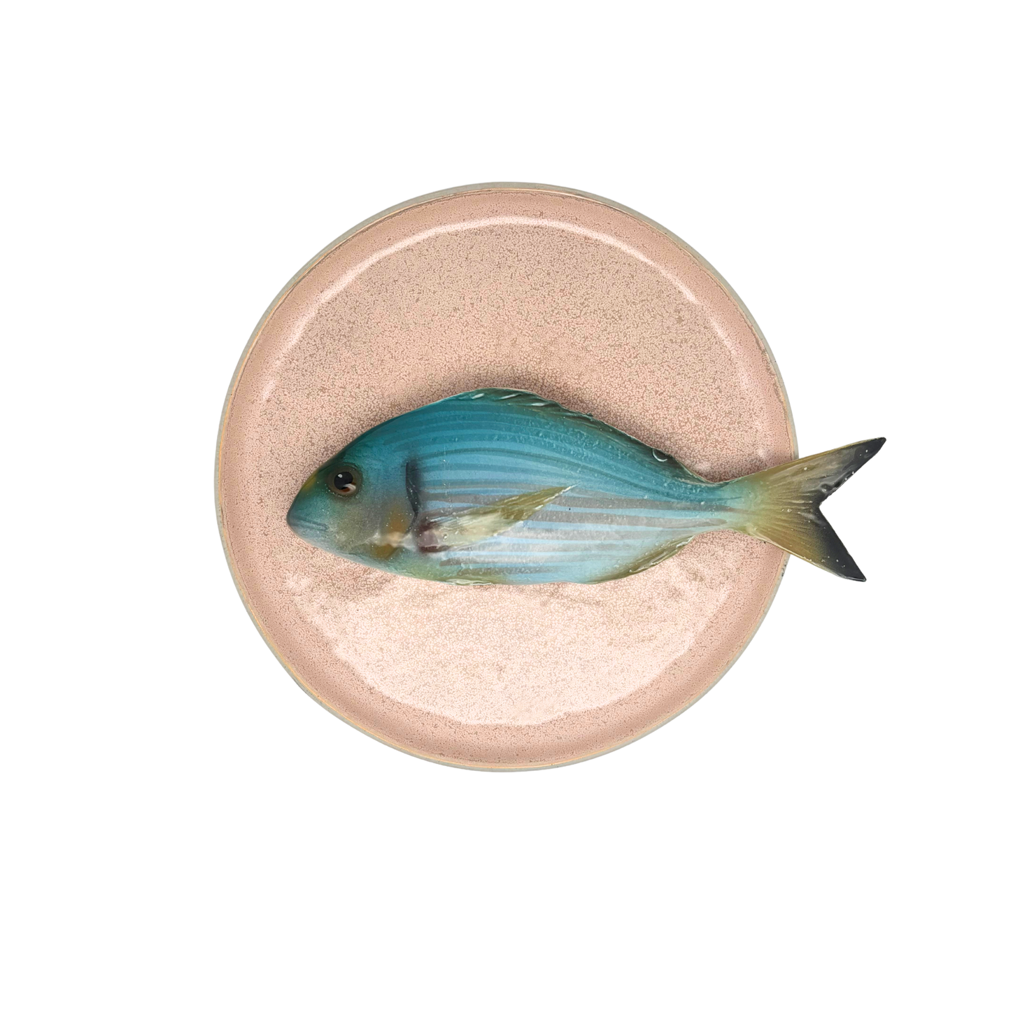 Orata op een poeder roze bewerkt bord, 20cm rond