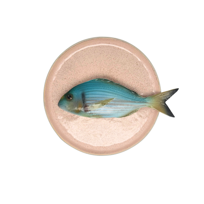 Orata op een poeder roze bewerkt bord, 20cm rond