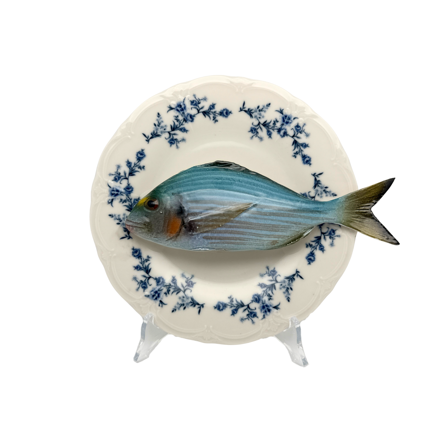Orata op wit met blauwe details op decoratief bord, 21 cm
