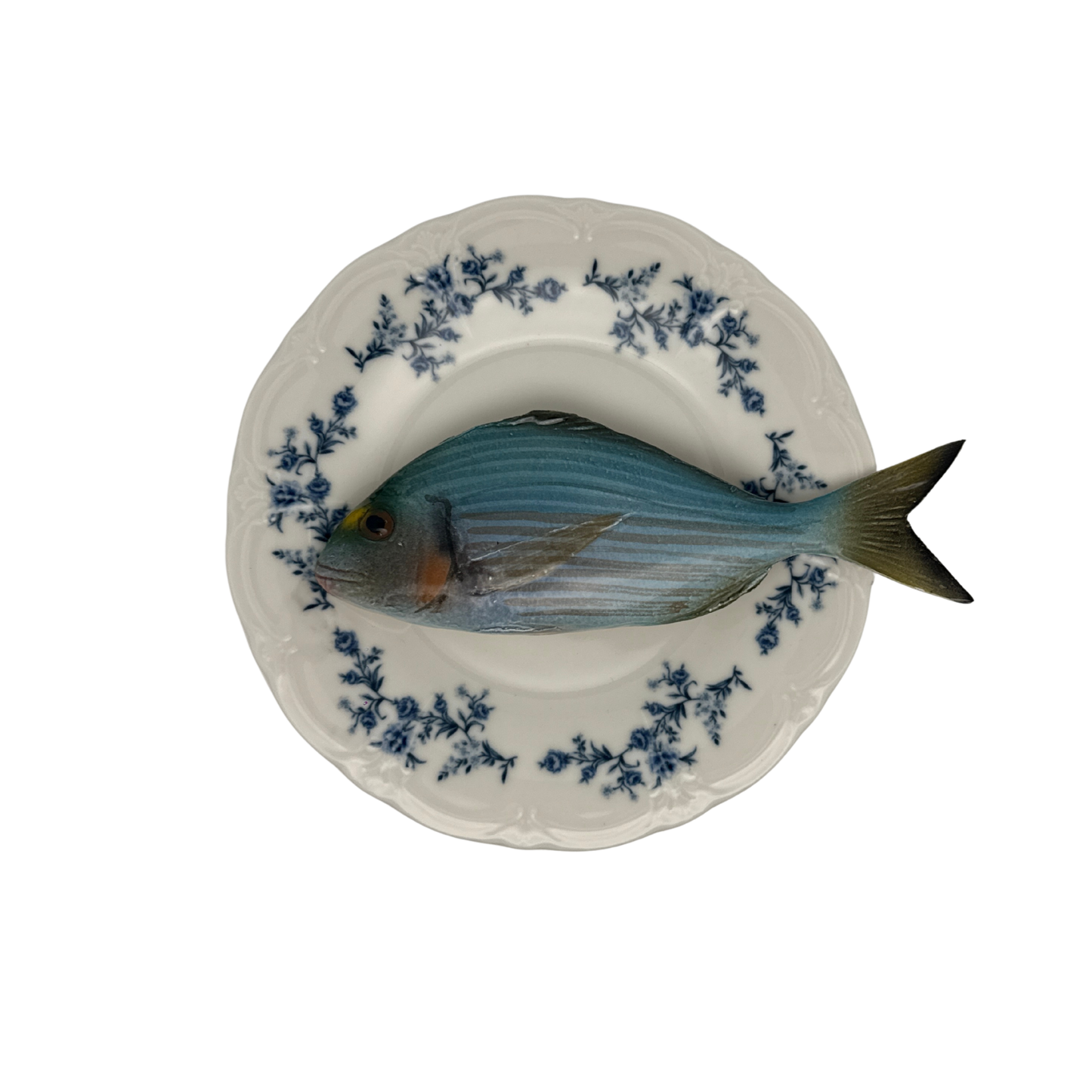 Orata op wit met blauwe details op decoratief bord, 21 cm