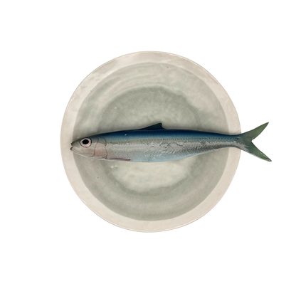 Alaccia/Haring op grijsgroen bord met lichte rand, 21 cm