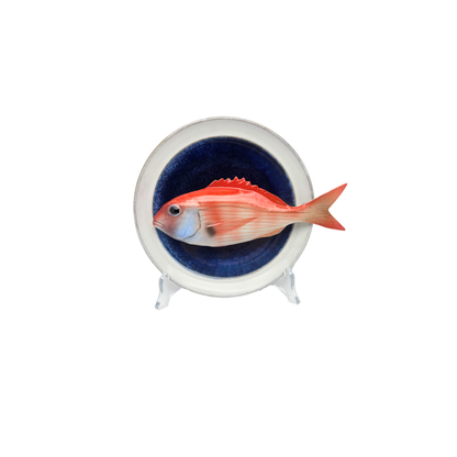 Pagello op blauw bord met lichte rand, 17 cm