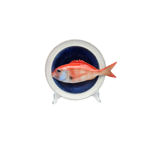 Pagello op blauw bord met lichte rand, 17 cm