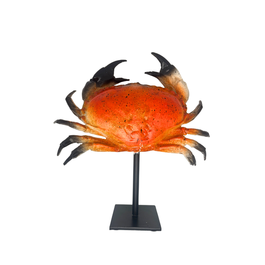 Kunst KRAB op standaard (polymeer) 34x34 cm