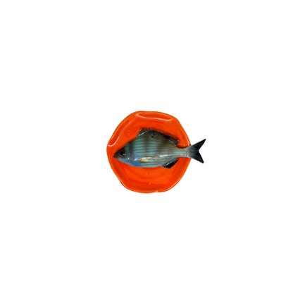 Tanuta piccolo op handmade oranje bordje, 11 cm