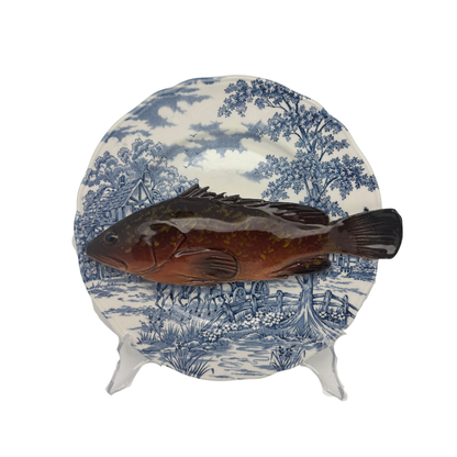 Cernia medio op een donker bauw vintage bord, 25 cm rond