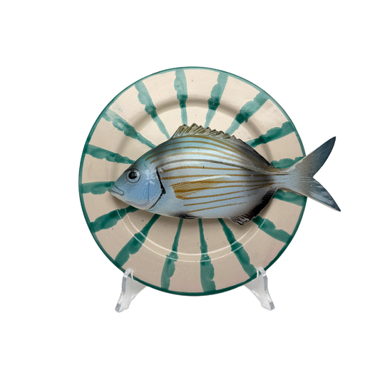 Viatora – Turquesa Granada Series  Limited Edition