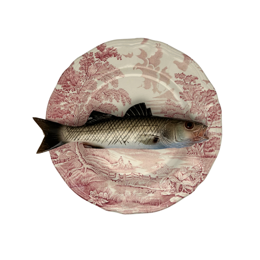 Spigola op roze vintage bord, 25 cm rond